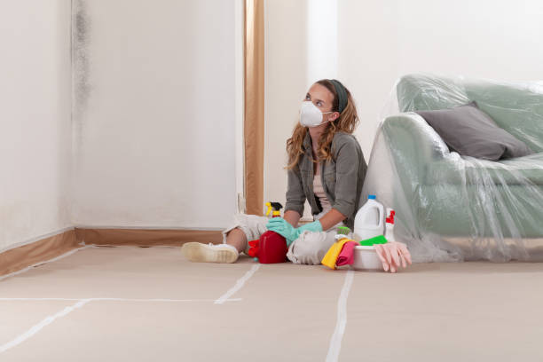 Reliable Mold Inspection contractor in North Wales, PA by WQB Mold Removal